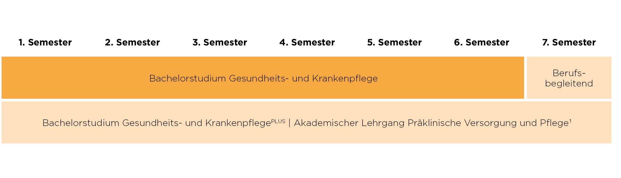 BGK Studieninhalte BGK Studieninhalte