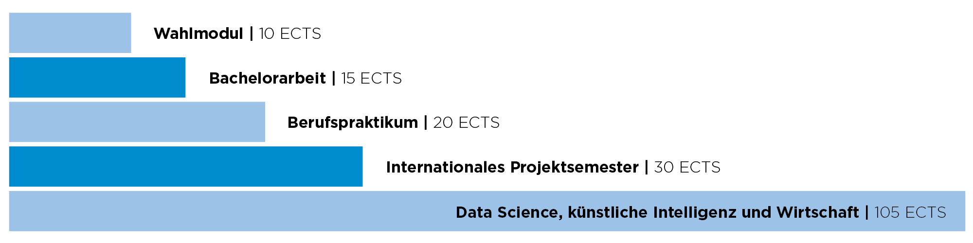 BDS.png Grafik Studieninhalte Data Science and Business Analytics