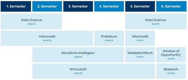 Grafik Studieninhalte Data Science and Business Analytics