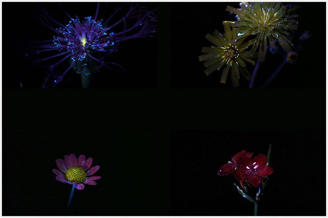 NEU-Veränderbare-Wirklichkeit-1.jpg NEU-Veränderbare-Wirklichkeit-1.jpg