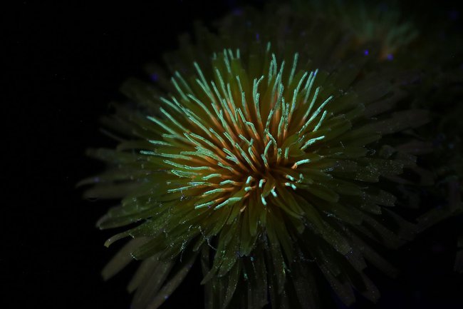 NEU-Veränderbare-Wirklichkeit-3.jpg NEU-Veränderbare-Wirklichkeit-3.jpg