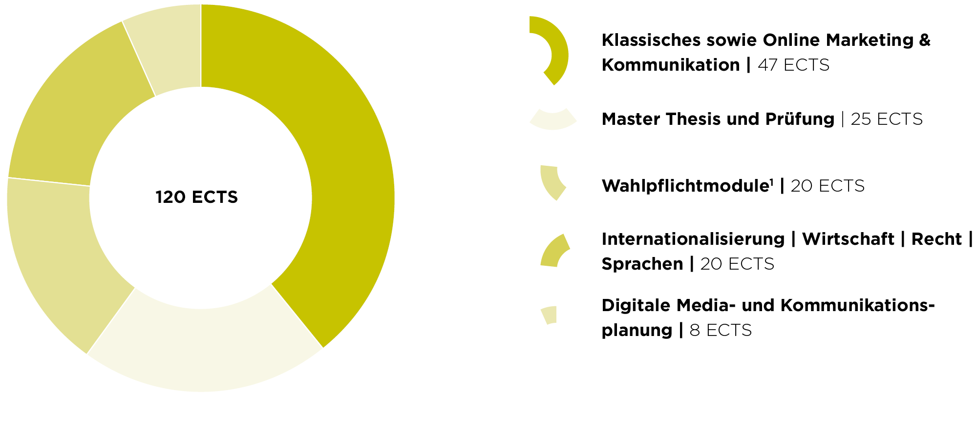 Grafik Studieninhalte MMK Grafik Studieninhalte MMK