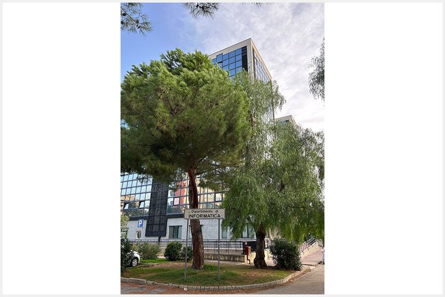 Natur CC Wolfgang Aigner.jpg Natur CC Wolfgang Aigner.jpg