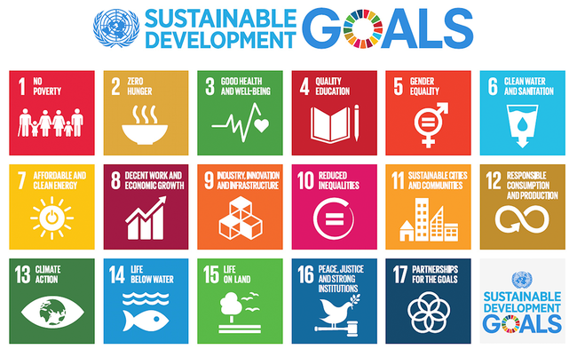 Sustainable Development Goals Sustainable Development Goals