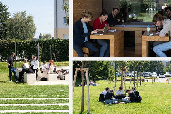 BMM-Erstemester_Collage_cFabian-Lahninger.jpg BMM-Erstemester_Collage_cFabian-Lahninger.jpg