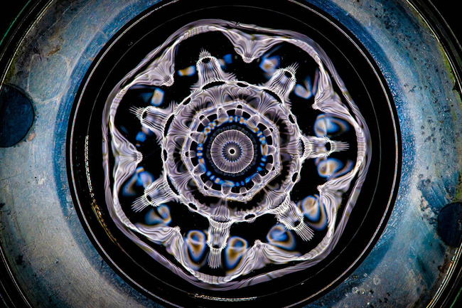 Ars Electronica: eigene Schwingung sehen und hören