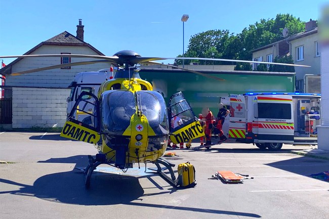 4 externe Lektoren als Lebensretter