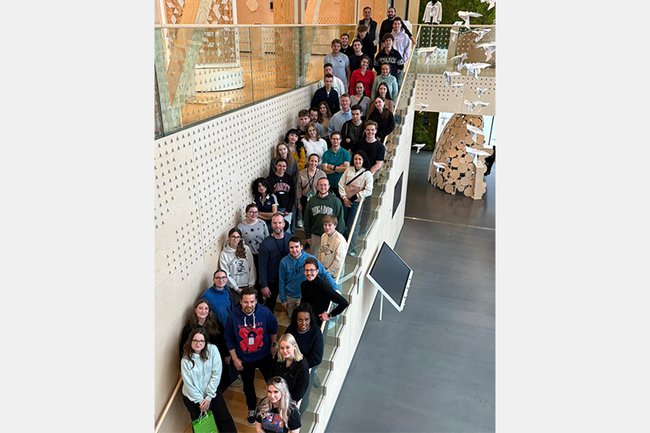 BIP Finnland, Bachelorstudium Management & Digital Business