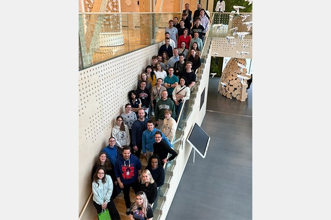 BIP Finnland, Bachelorstudium Management & Digital Business