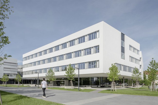 Netzwerk Hochschulbildung Physiotherapie