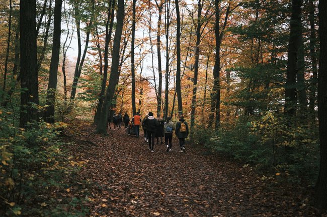 Gemeinsames Wanderprojekt der Master-Studiengänge Digital Business Communications und Digital Management & Sustainability