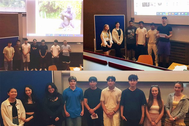 Schüler*innen der business.academy.donaustadt besuchten den Workshop "Gestaltung von Werbung" an der FH St. Pölten