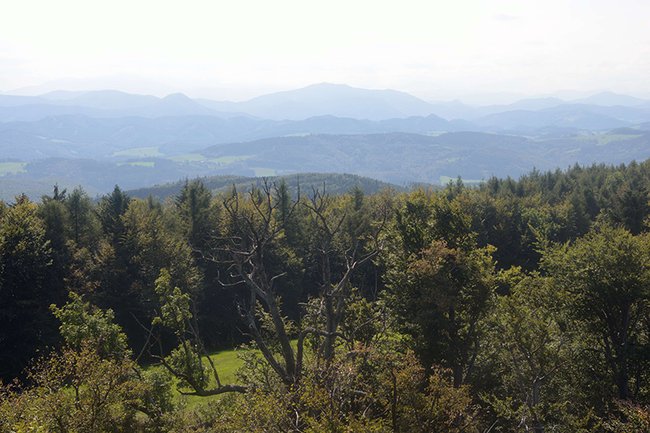 Aussicht vom Schöpfl