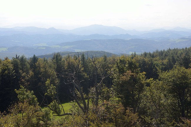 Aussicht vom Schöpfl