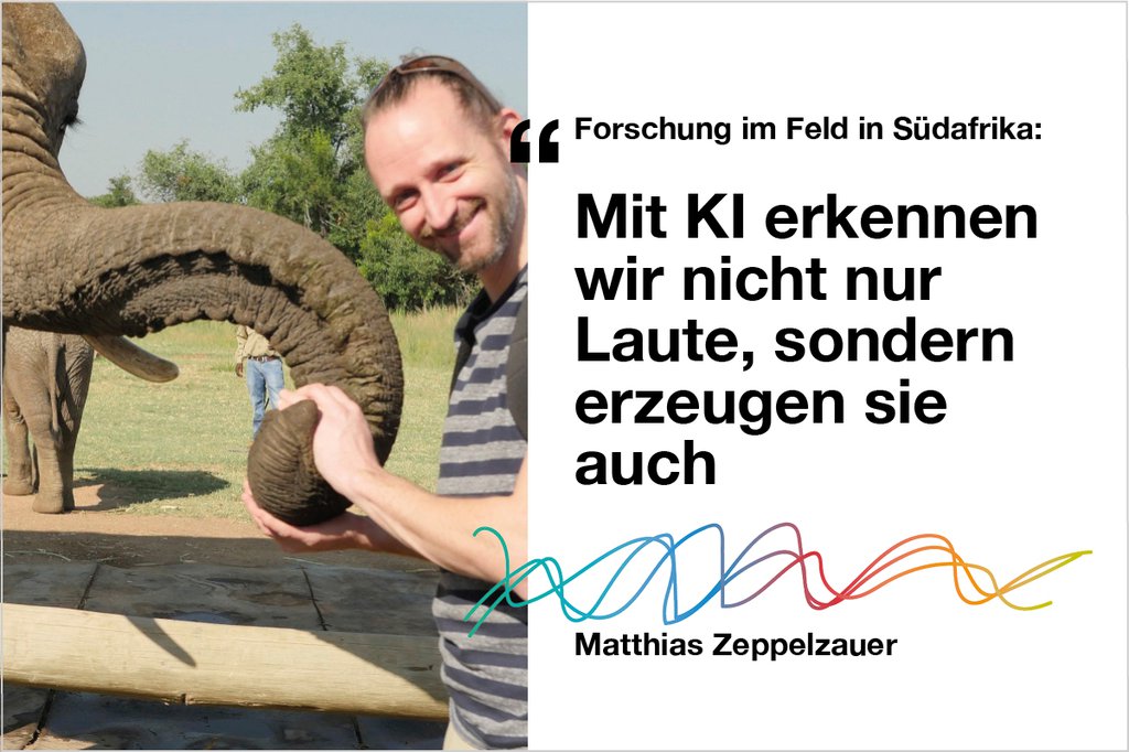 Wie KI die Sprache der Elefanten entschlüsselt [Podcast]