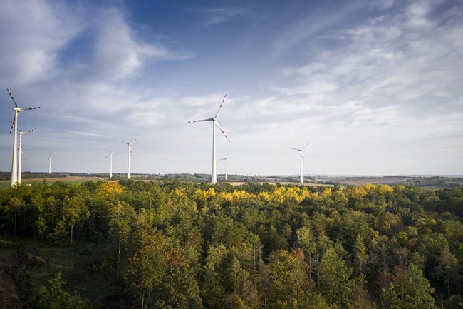 ESG-Kommunikation in Investor Relations der EVN