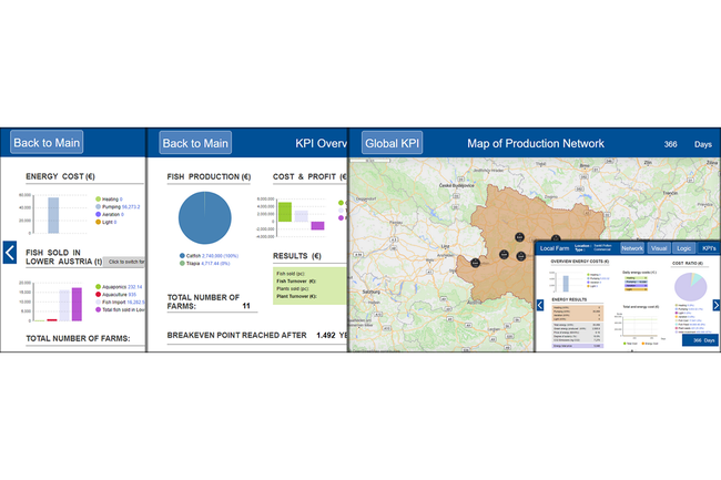 Circular Economy - Aquaponic Systems