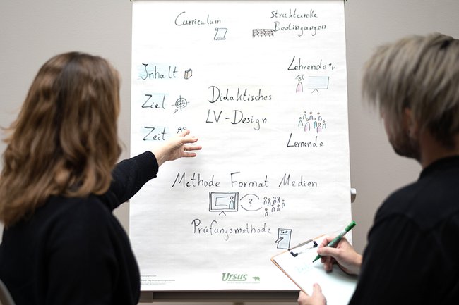 Courses: Consultancy, Support, and Exchange