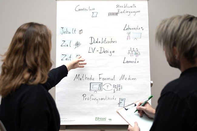 Courses: Consultancy, Support, and Exchange