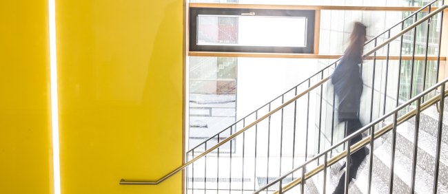 Your career at the USTP