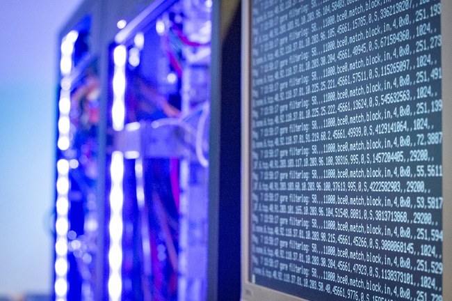 Insight into the study