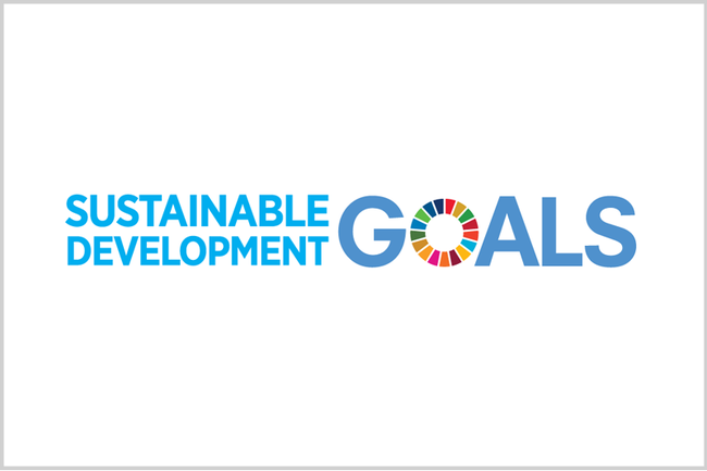 Sustainable Development Goals